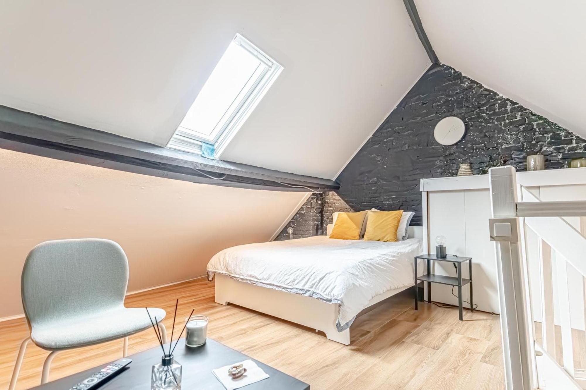 Spacious Shared 5Br Apt In The Heart Of Gent 외부 사진